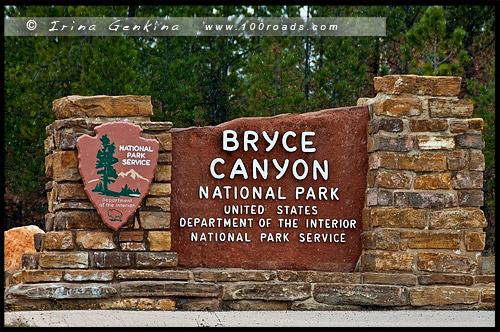 Каньон Брайс, Bryce Canyon, Юта, Utah, США, USA, Америка, America