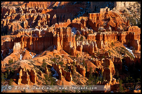 Амфитеатр, Amphitheatre, Каньон Брайс, Bryce Canyon, Юта, Utah, США, USA, Америка, America