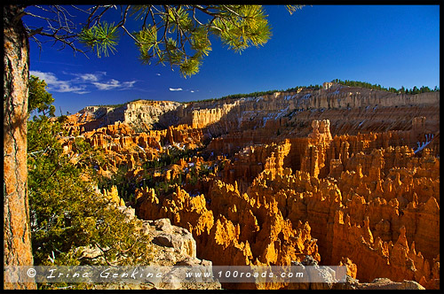 Закат, Амфитеатр Брайс, Bryce Amphitheater, Каньон Брайс, Bryce Canyon, Юта, Utah, США, USA, Америка, America