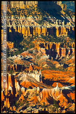 Закат, Амфитеатр Брайс, Bryce Amphitheater, Каньон Брайс, Bryce Canyon, Юта, Utah, США, USA, Америка, America
