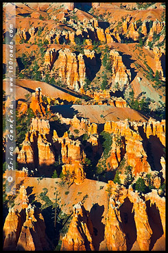 Закат, Амфитеатр Брайс, Bryce Amphitheater, Каньон Брайс, Bryce Canyon, Юта, Utah, США, USA, Америка, America