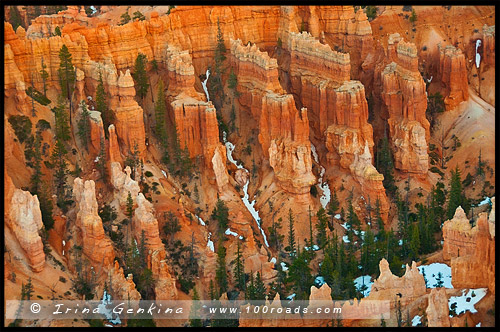 Закат, Амфитеатр Брайс, Bryce Amphitheater, Каньон Брайс, Bryce Canyon, Юта, Utah, США, USA, Америка, America