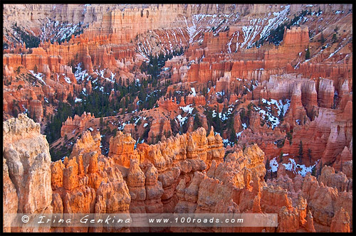 Закат, Амфитеатр Брайс, Bryce Amphitheater, Каньон Брайс, Bryce Canyon, Юта, Utah, США, USA, Америка, America