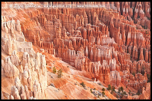 Закат, Амфитеатр Брайс, Bryce Amphitheater, Каньон Брайс, Bryce Canyon, Юта, Utah, США, USA, Америка, America