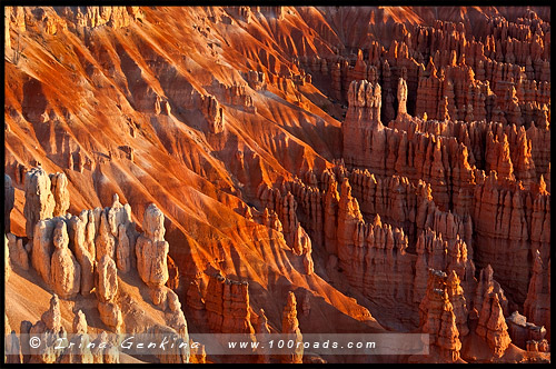 Рассвет, Амфитеатр Брайс, Bryce Amphitheater, Точки Вдохновения, Inspiration Point, Каньон Брайс, Bryce Canyon, Юта, Utah, США, USA, Америка, America