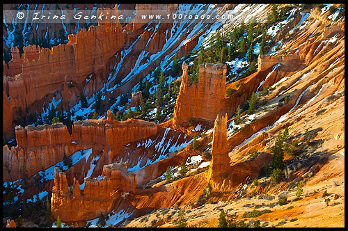 Рассвет, Амфитеатр Брайс, Bryce Amphitheater, Точки Вдохновения, Inspiration Point, Каньон Брайс, Bryce Canyon, Юта, Utah, США, USA, Америка, America