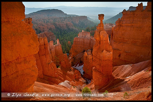 Молот Тора, Thors Hammer, Рассвет, Круговая тропа Навахо, Navajo Loop Tril, Амфитеатр Брайс, Bryce Amphitheater, Точка Заката, Sunset Point, Каньон Брайс, Bryce Canyon, Юта, Utah, США, USA, Америка, America