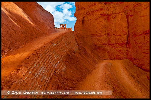 Рассвет, Амфитеатр Брайс, Bryce Amphitheater, Каньон Брайс, Bryce Canyon, Юта, Utah, США, USA, Америка, America