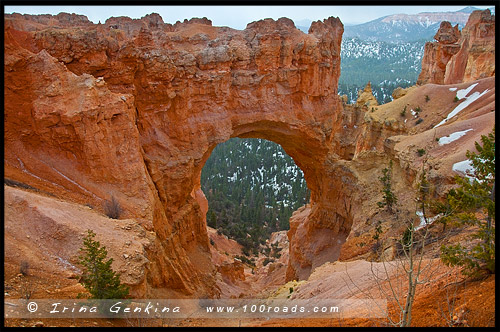 Утро, Природный мост, Natural Bridge, Каньон Брайс, Bryce Canyon, Юта, Utah, США, USA, Америка, America