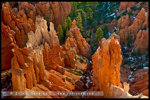 Рассвет, Амфитеатр Брайс, Bryce Amphitheater, Точки Вдохновения, Inspiration Point, Каньон Брайс, Bryce Canyon, Юта, Utah, США, USA, Америка, America