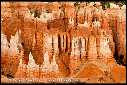 Закат, Амфитеатр Брайс, Bryce Amphitheater, Каньон Брайс, Bryce Canyon, Юта, Utah, США, USA, Америка, America