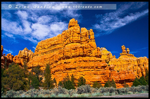 Худусы, hoodoos, Красный Каньон, Red Canyon, Юта, Utah, США, USA, Америка, America