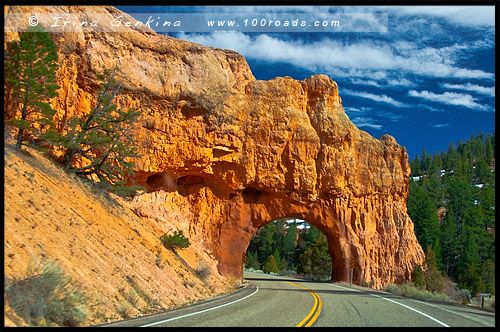 Арка, Красный Каньон, Red Canyon, Юта, Utah, США, USA, Америка, America