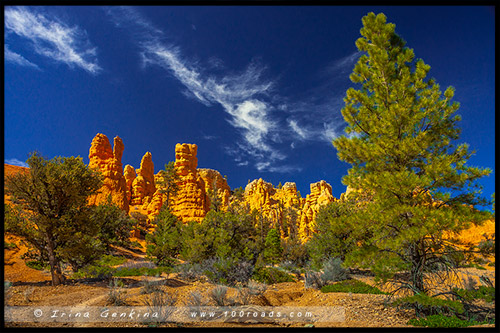 Склоны, Красный Каньон, Red Canyon, Юта, Utah, США, USA, Америка, America