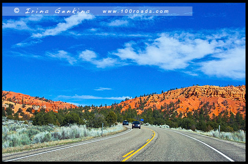 Дорога, Каньон Брайс, Bryce Canyon, Юта, Utah, США, USA, Америка, America