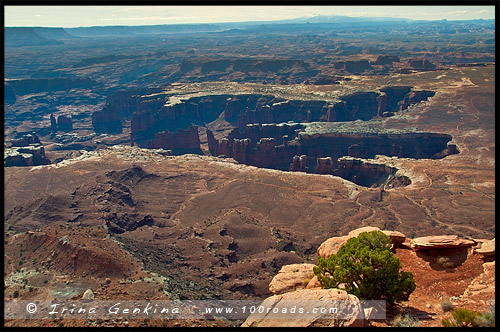 Обзорная площадка, Grand View Point Overlook, район Остров в небе, Island in the Sky District, Национальный парк Каньонлэндс, Canyonlands National Park, Юта, Utah, США, USA, Америка, America