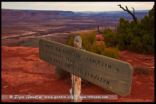 Остров в небе, Island in the Sky District, Национальный парк Каньонлэндс, Canyonlands National Park, Юта, Utah, США, USA, Америка, America