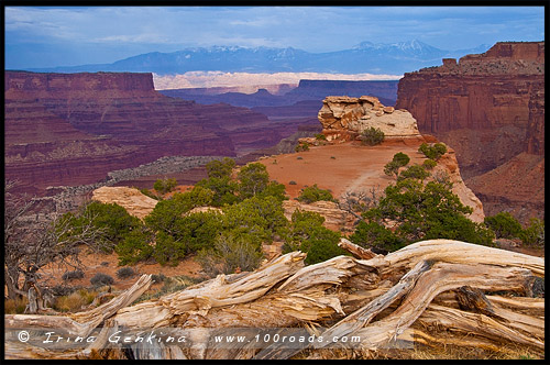 Остров в небе, Island in the Sky District, Национальный парк Каньонлэндс, Canyonlands National Park, Юта, Utah, США, USA, Америка, America