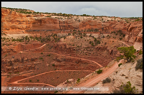 Остров в небе, Island in the Sky District, Национальный парк Каньонлэндс, Canyonlands National Park, Юта, Utah, США, USA, Америка, America