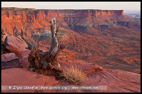 Остров в небе, Island in the Sky District, Национальный парк Каньонлэндс, Canyonlands National Park, Юта, Utah, США, USA, Америка, America