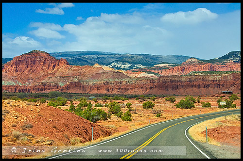 Парк Капитол Риф, Capitol Reef Nanional Park, Юта, Utah, США, USA, Америка, America