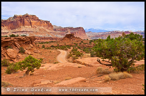 Панорамная Точка, Panorama Point, Парк Капитол Риф, Capitol Reef Nanional Park, Юта, Utah, США, USA, Америка, America