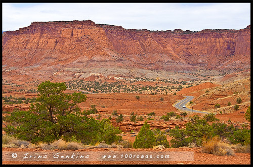 Панорамная Точка, Panorama Point, Парк Капитол Риф, Capitol Reef Nanional Park, Юта, Utah, США, USA, Америка, America