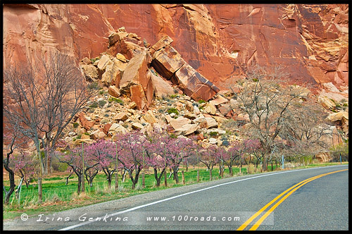 Парк Капитол Риф, Capitol Reef Nanional Park, Юта, Utah, США, USA, Америка, America