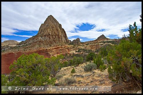 Коническая Пирамида, Pectols Pyramid, Парк Капитол Риф, Capitol Reef Nanional Park, Юта, Utah, США, USA, Америка, America