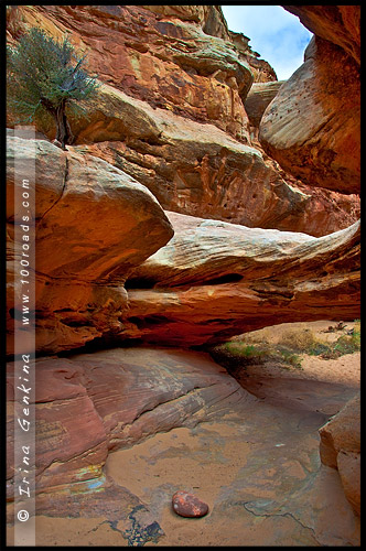 Природный мост Нелса Джонсона, Nels Johnson Natural Bridge, Парк Капитол Риф, Capitol Reef Nanional Park, Юта, Utah, США, USA, Америка, America