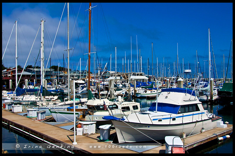 Монтерей, Monterey, Калифорния, California, США, USA, Америка, America