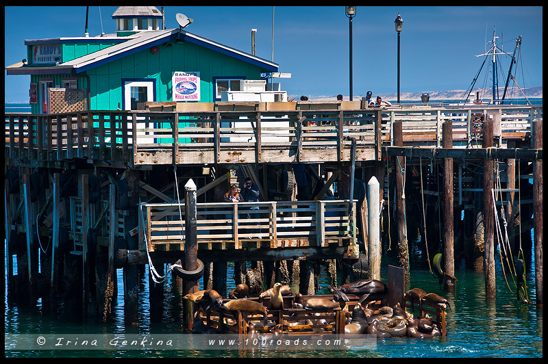 Монтерей, Monterey, Калифорния, California, США, USA, Америка, America