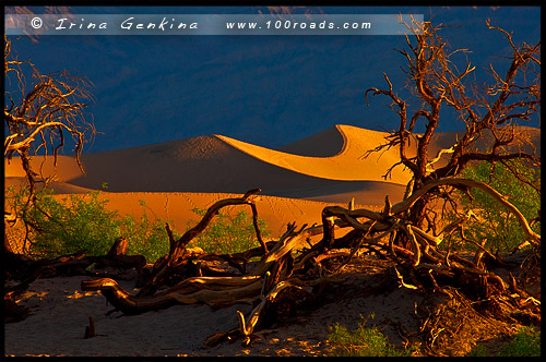 Мескитные Плоские дюны, Плоские дюны Мескит, Mesquite Flat Dunes, Долина Смерти, Death Valley, Калифорния, California, СЩА, USA, Америка, America