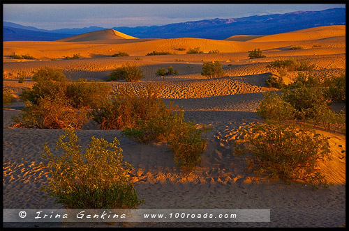 Мескитные Плоские дюны, Плоские дюны Мескит, Mesquite Flat Dunes, Долина Смерти, Death Valley, Калифорния, California, СЩА, USA, Америка, America