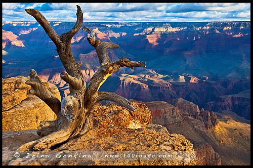 Гранд Каньон, Grand Canyon, Аризона, Arizona, США, USA, Америка, America