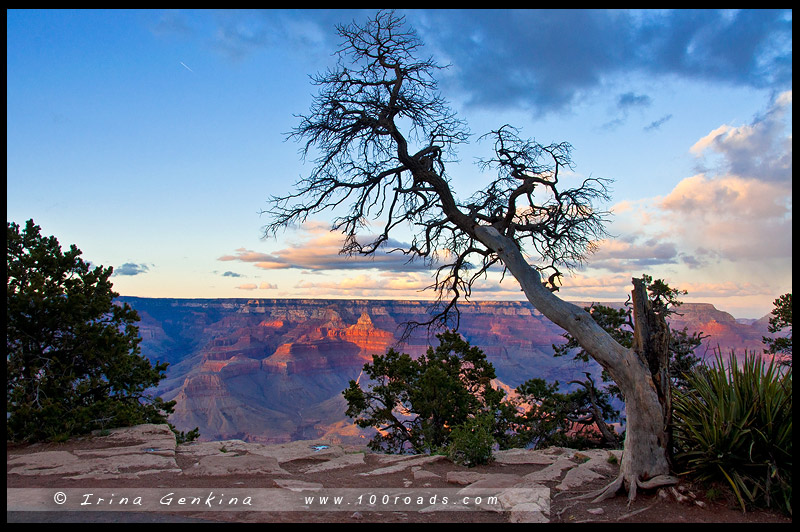 Гранд Каньон, Grand Canyon, Аризона, Arizona, США, USA, Америка, America