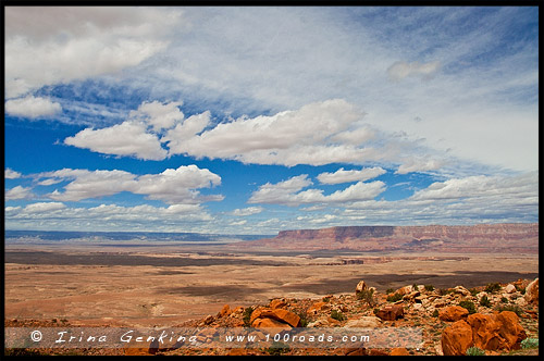 Утесы Эхо, Echo Cliffs, Аризона, Arizona, США, USA, Америка, America