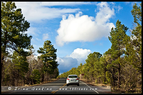 Гранд Каньон, Grand Canyon, Аризона, Arizona, США, USA, Америка, America