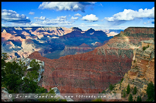 Гранд Каньон, Grand Canyon, Аризона, Arizona, США, USA, Америка, America