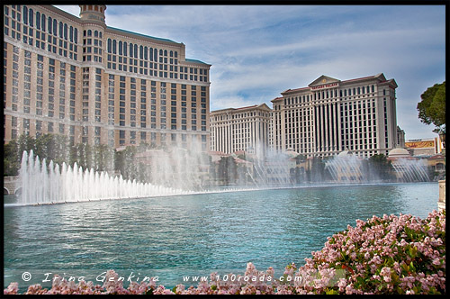 Фонтаны Белладжио, Белладжио, Bellagio, Лас Вегас, Las Vegas, Невада, Nevada, США, USA, Америка, America