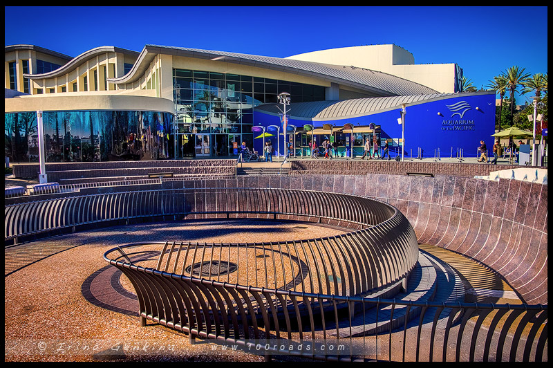 Тихоокеанский Аквариум, Aquarium of the Pacific, Лонг Бич, Long Beach, Лос Анжелес, LA, Los Angeles, Калифорния, California, США, USA