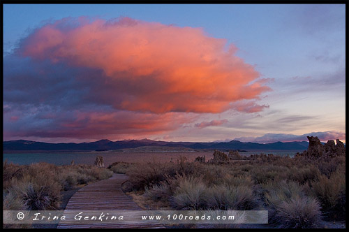 Южный туф, South Tufa, Озеро Моно, Mono Lake, Калифорния, California, СЩА, USA, Америка, America