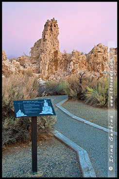 Южный туф, South Tufa, Озеро Моно, Mono Lake, Калифорния, California, СЩА, USA, Америка, America