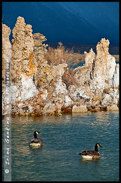 Южный туф, South Tufa, Озеро Моно, Mono Lake, Калифорния, California, СЩА, USA, Америка, America