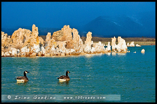 Южный туф, South Tufa, Озеро Моно, Mono Lake, Калифорния, California, СЩА, USA, Америка, America