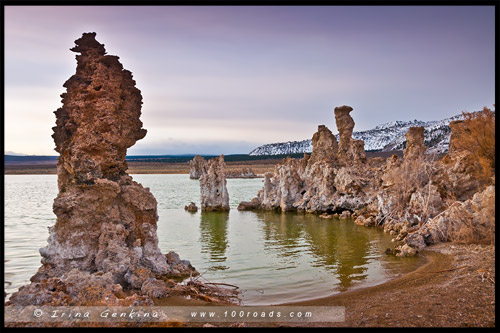 Южный туф, South Tufa, Озеро Моно, Mono Lake, Калифорния, California, СЩА, USA, Америка, America