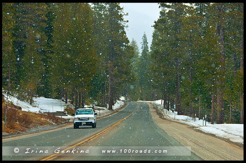 Eldorado National Forest, Калифорния, California, СЩА, USA, Америка, America