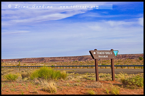 Пария Римрокс, Грибовидные Худу, Paria Rimrocks, Toadstool Hoodoos, Пейдж, Page, Аризона, Arizona, США, USA, Америка, America