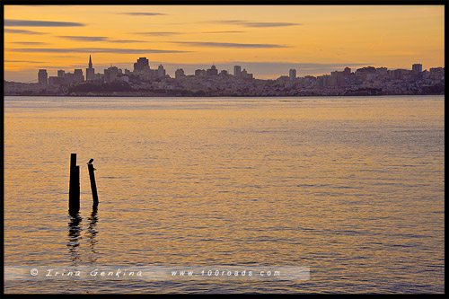 Мост Золотые Ворота, Golden Gate Bridge, Сан Франциско, San Francisco, Калифорния, California, СЩА, USA, Америка, America