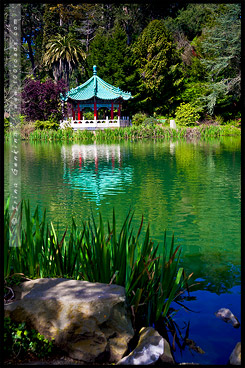 Парк Золотые Ворота, Golden Gate Park, Сан Франциско, San Francisco, Калифорния, California, СЩА, USA, Америка, America